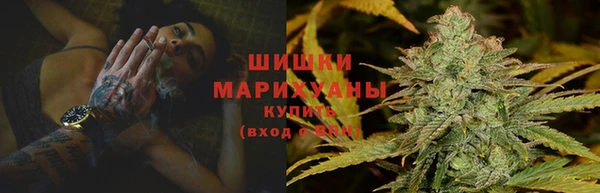 прущие грибы Абдулино