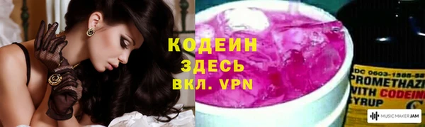 индика Алзамай