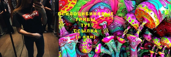 первитин Алексеевка