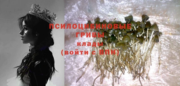 первитин Алексеевка
