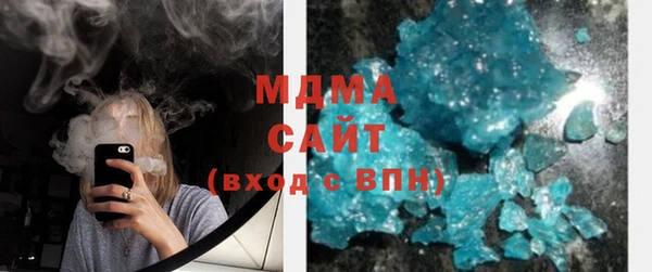 индика Елабуга