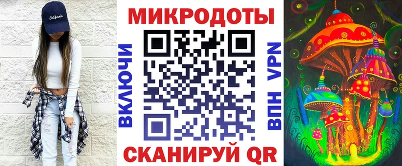 Псилоцибиновые грибы Psilocybine cubensis  Томари 